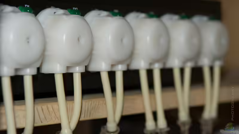 Pumpstation von Betta Chris (120)