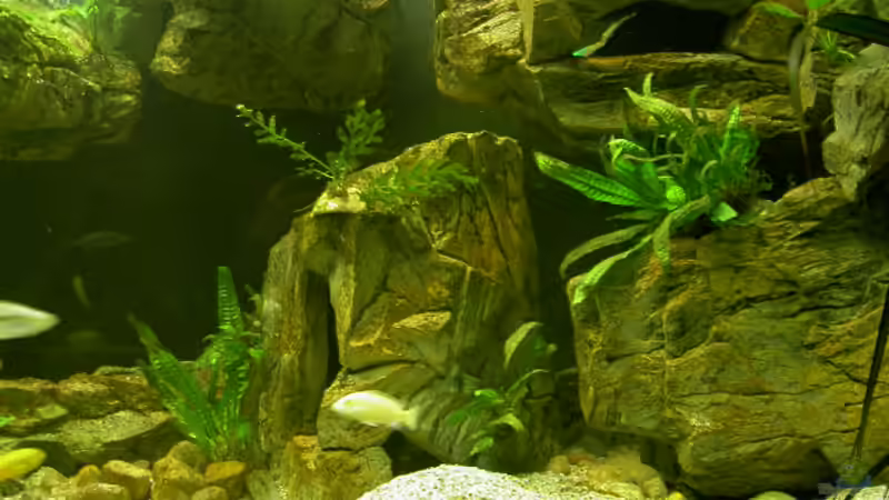 Purpurs und ein Neon von Christian Horn (12)