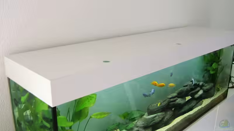 PVC Hartschaum Abdeckung (Eigenbau) von Hanspeter Widmer (6)