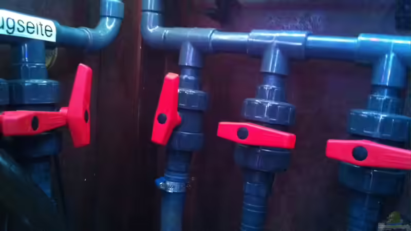 PVC Kollektor für bis zu 3 Aussenfilter von Jean-Paul Ambord (23)