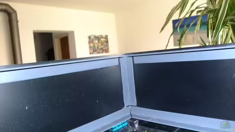 PVC-Winkel zur Stabilisierung eingeklebt von Trooper (46)