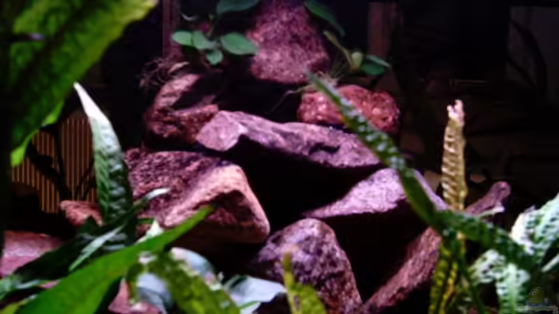 Pyramide bis knapp unter die Wasseroberfläche gebaut von Schielefix (17)