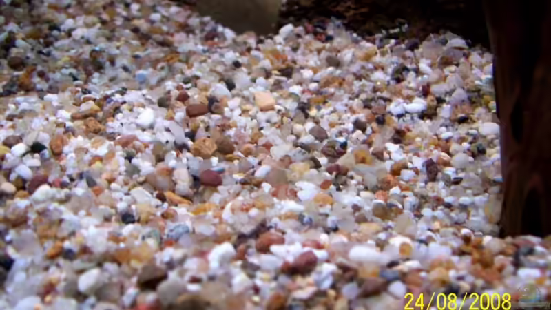 Quarzkies 1-2 mm. von Thomas Schmidt (22)