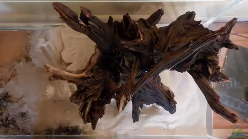 Quarzsand als Deckschicht von miv (7)