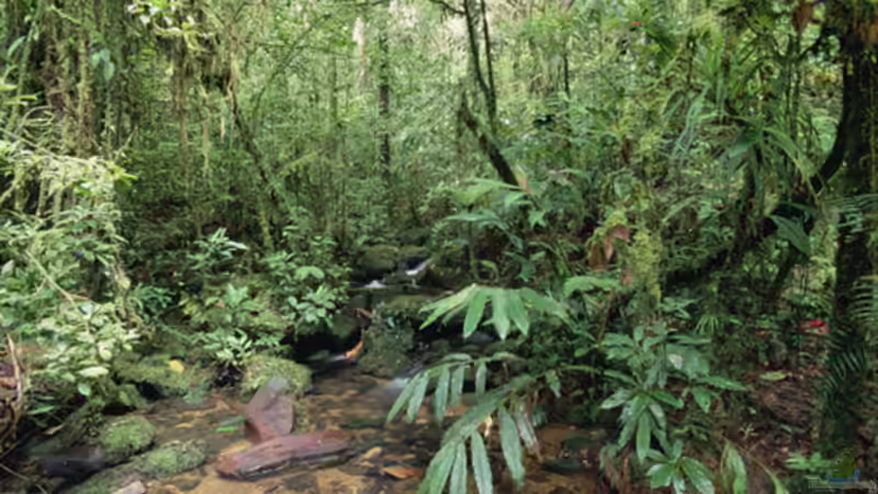 Quelle: http://www.natgeocreative.com/photography/1150759 von Laura (11)