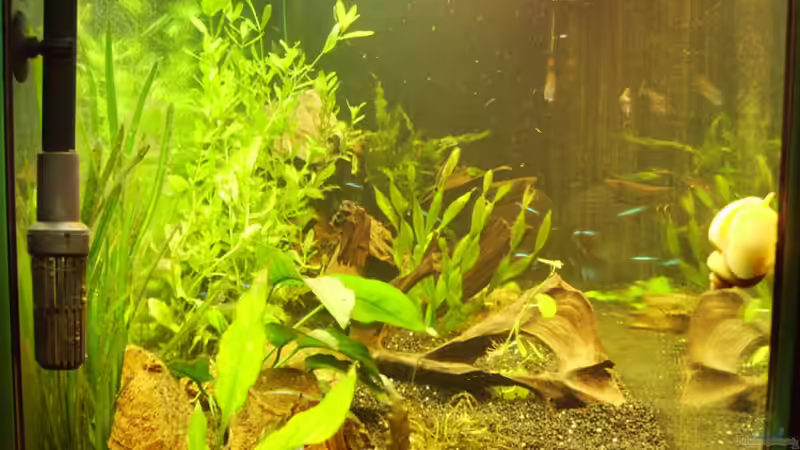 Querdurchsicht von Sebastian Sander (3)