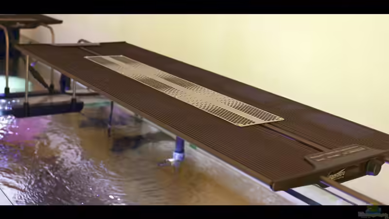 R420R Razor von The_Lizardking (12)