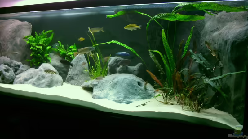 Räuberbecken von Marcus.H (1)