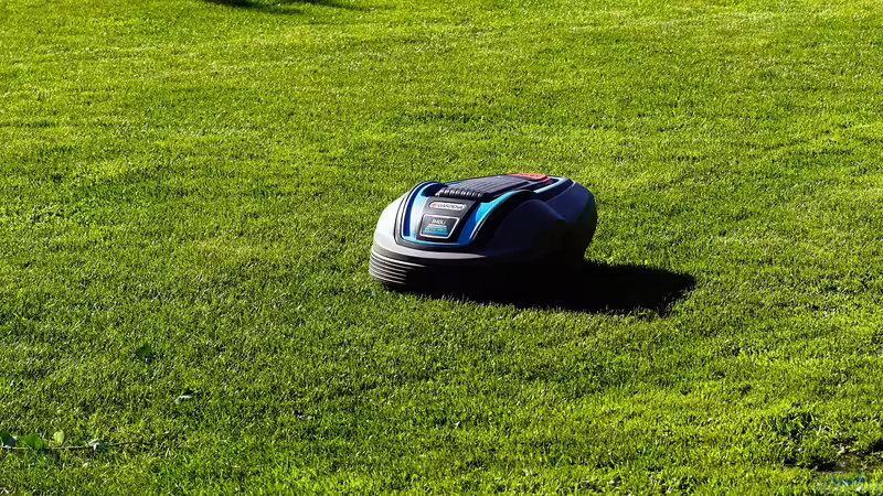 Rasenmähen und Gartenteich: Was ist zu beachten?