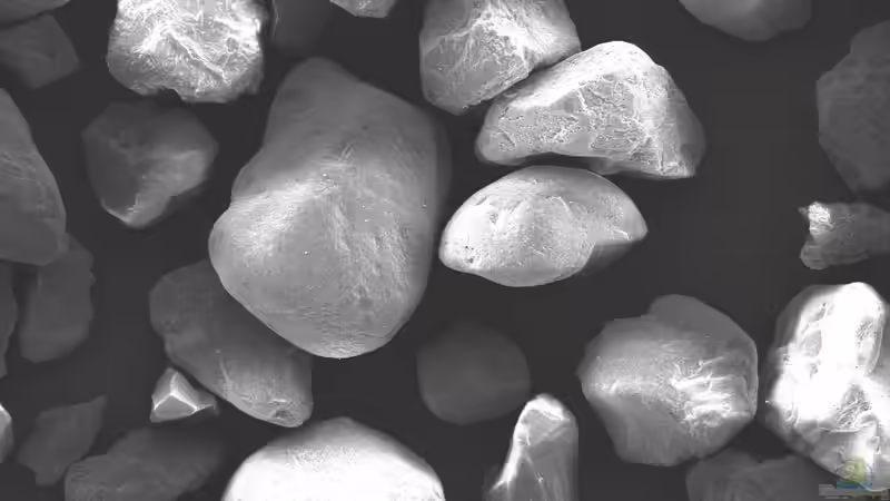 Rasterelektronenmikroskopbild des Sand bei 240x Vergrößerung - überwiegend kantengerundete Körner - keine Verletzungsgefahr für Welsbarteln und Kiemen der Sandfresser von ravaka (27)