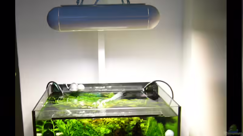 Rasterleuchte hängend von Stefan Philippi (12)