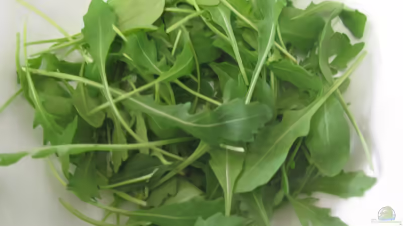 Rauke oder Rucola? Alles, was du über das beliebte Würzkraut wissen musst