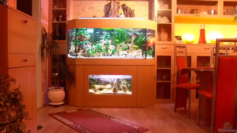 Raumansicht mit Komplettanlage  von Malawi Freak (4)