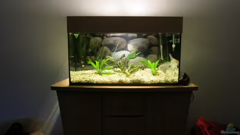 Raumansicht von Mirko (2)