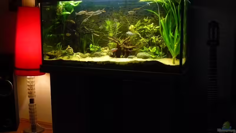 Raumimpression von Romulus71 (16)