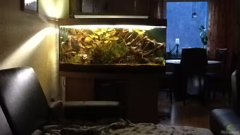 Raumteiler 240 Liter von Günter (2)