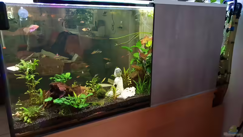 Raumteiler Rückansicht von Manuela&Mike (3)