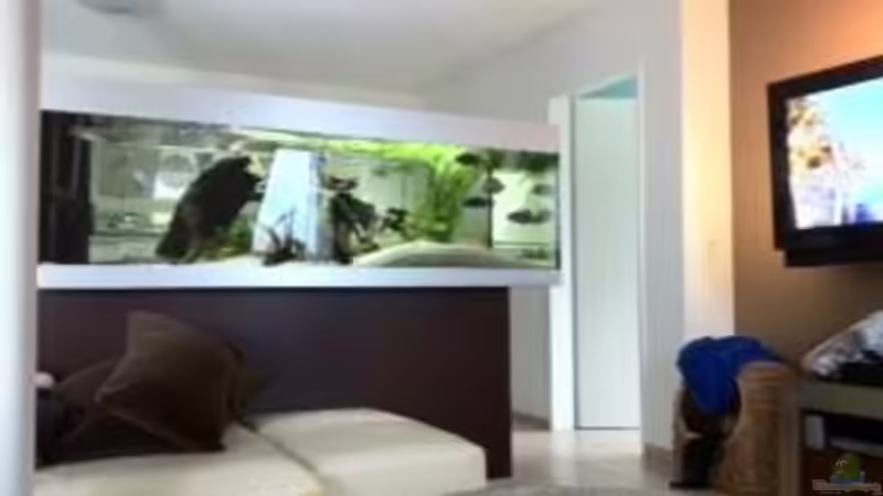 Raumteiler von hinten von Jennifer Clee (15)