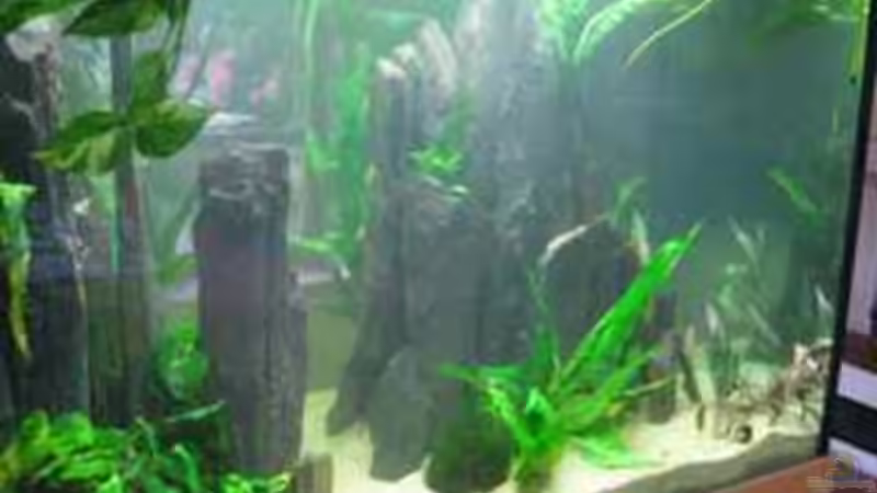 R??CKSEITE KURZ NACH DEM WASSEREINLASSEN von Vera Herrlich (3)