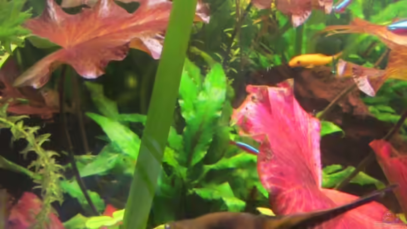 re. Seite am 13.6.12 von Sabrina Plankensteiner (2)