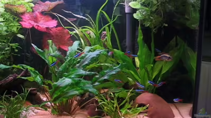 re. Seite von Andrea & Andreas Wielpütz (4)