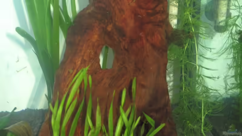 Re. Seite von Tanja (7)