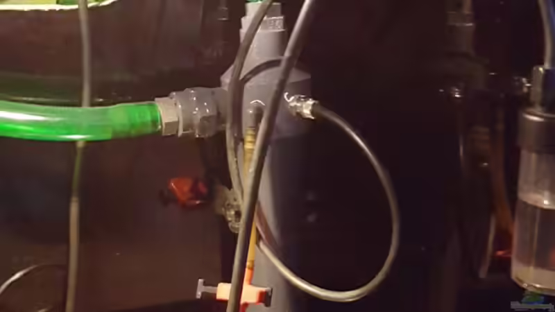 Reactor von Eisbaer (11)