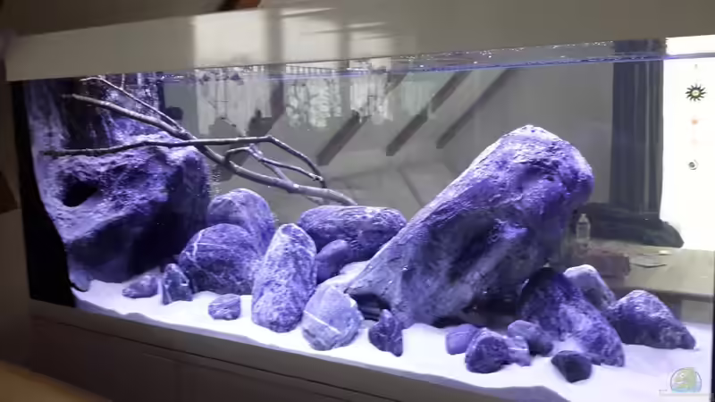 Real von Volker Nause (9)