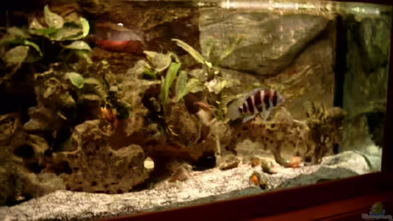 recht Aq-Seite mit ??berlaufschacht von Angelika Fabick (3)