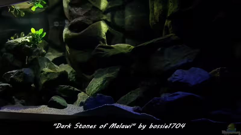 Rechte Beckenhälfte 22.12.12 von bossie1704 (6)