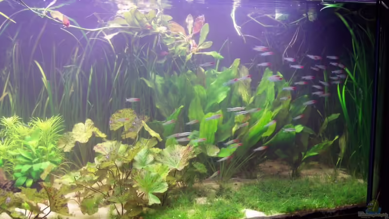 rechte Beckenhälfte (28.03.08) von Richard Gärtner (7)