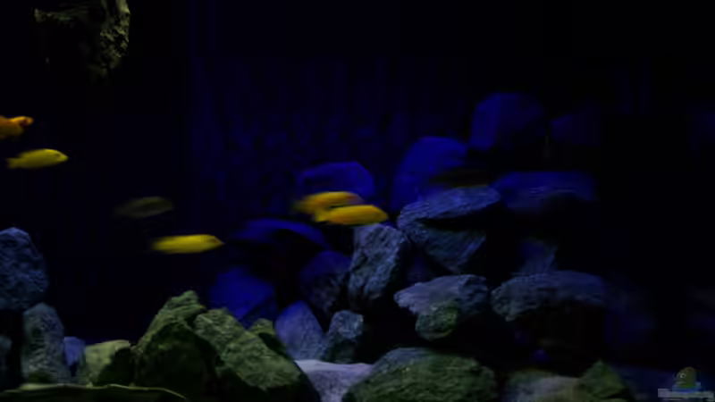 rechte Beckenhälfte von Christopher Roß (3)