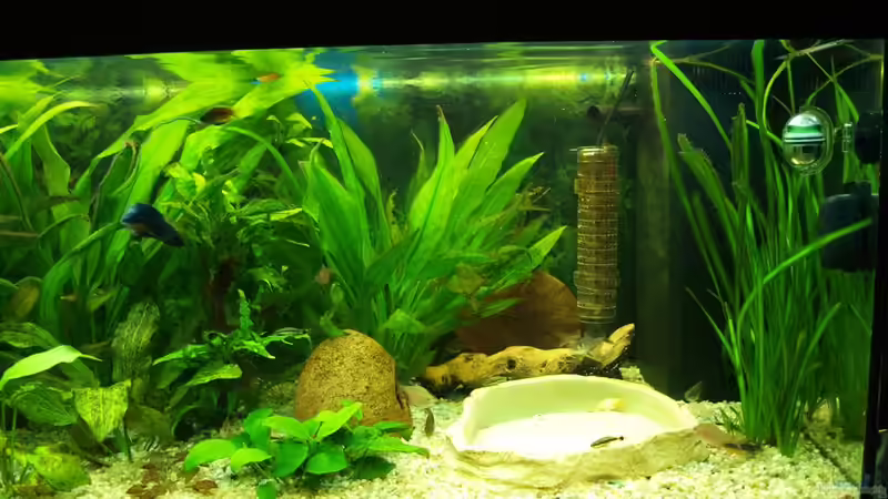 Rechte Beckenhälfte von Theresa Horak (2)