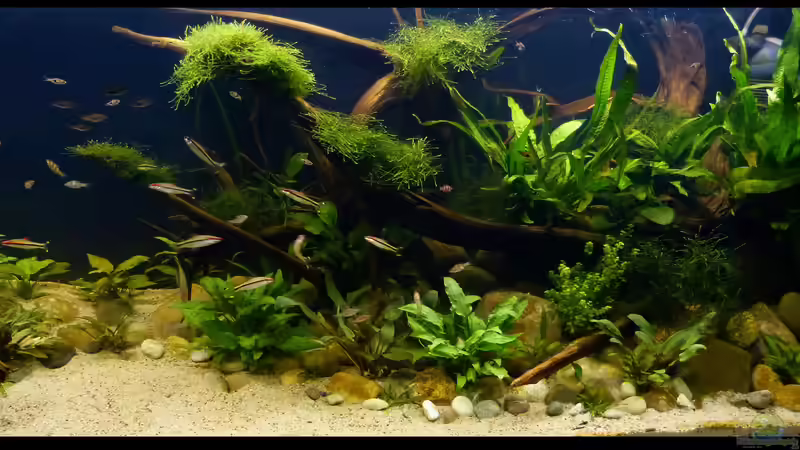 rechte Beckenseite 11.10.2018 von ~Marco~ (46)