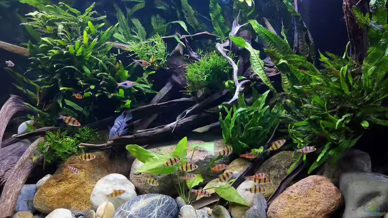 rechte Beckenseite 22.08.20 von ~Marco~ (30)