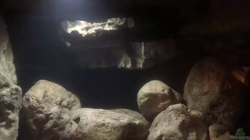 Rechte Beckenseite-ohne Besatz von Dresdn3r (13)