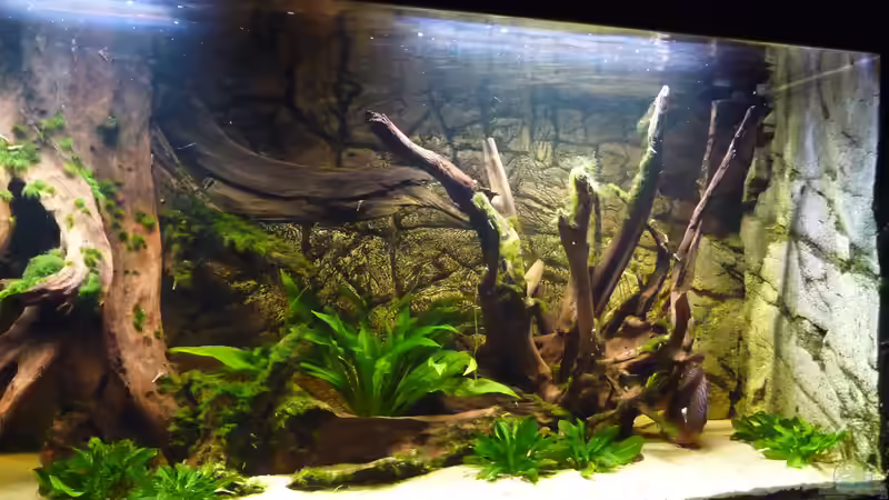 Rechte Beckenseite von carkl (13)