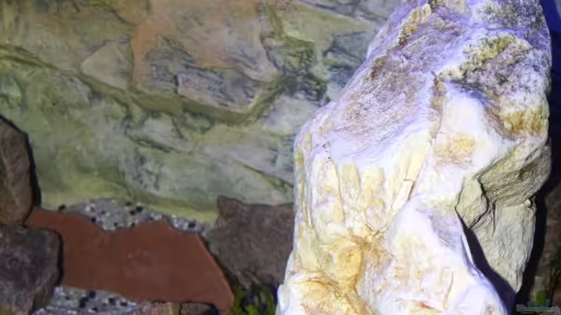 rechte Beckenseite von Cruiser Bruno (12)