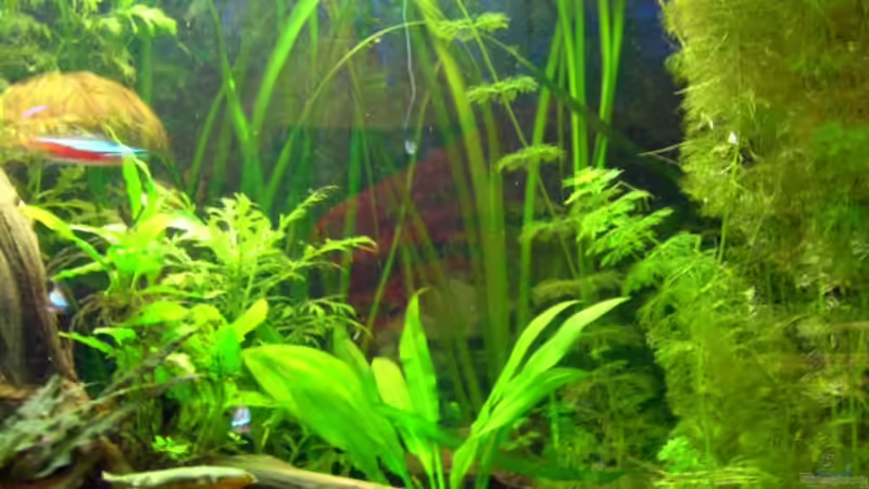 Rechte Beckenseite von Dennis Röthemeier (4)