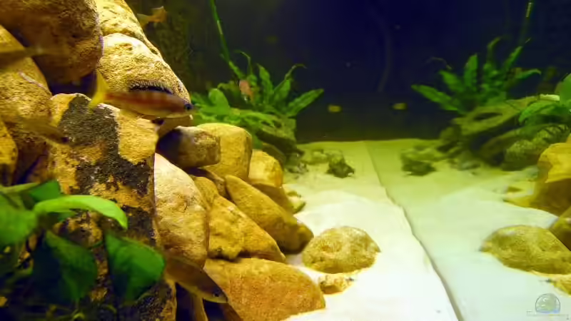 Rechte Beckenseite von Felix Klett (3)