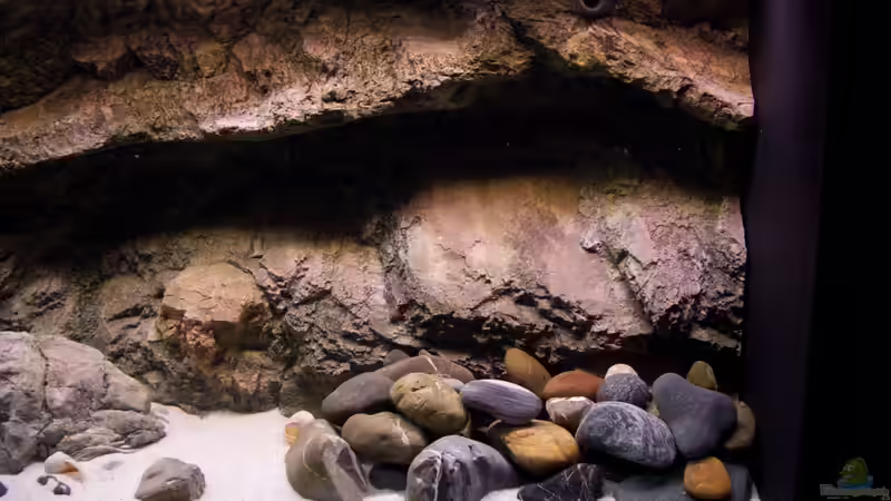 rechte Beckenseite von Markus Walter (15)