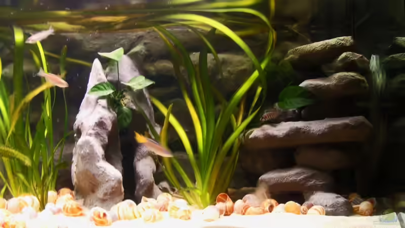 Rechte Beckenseite von Miriam (2)