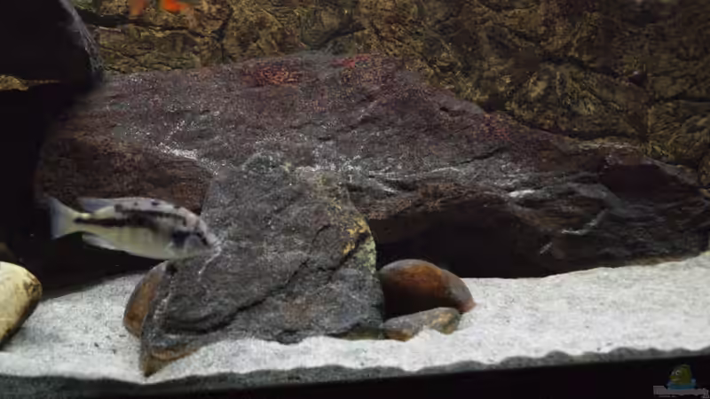 Rechte Beckenseite von Sascha G. (8)