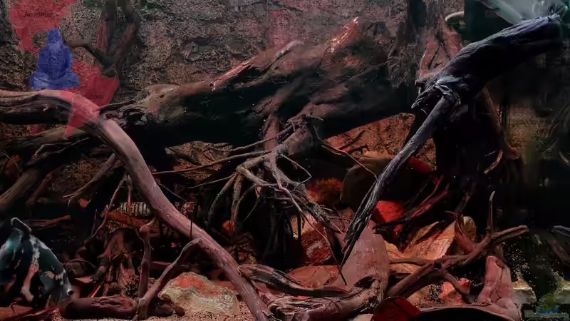 Rechte Ecke - 24.10.2012 von GGuardiaNN (22)