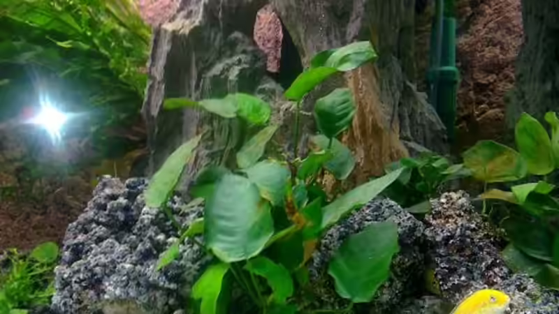 Rechte Ecke Eheim Prof. III 350 2073 Ansaug und Auslass von coupe320i (4)