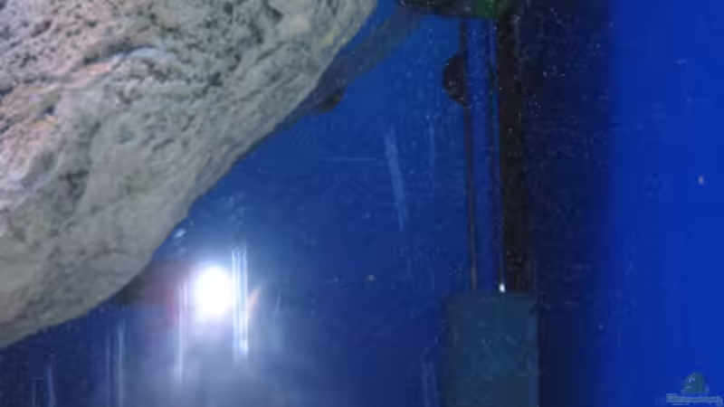 Rechte Ecke mit blau kaschiertem Saugrohr Aqua pro. Fast nicht sichtbar, wenn nicht angeblitzt von Simmal (13)