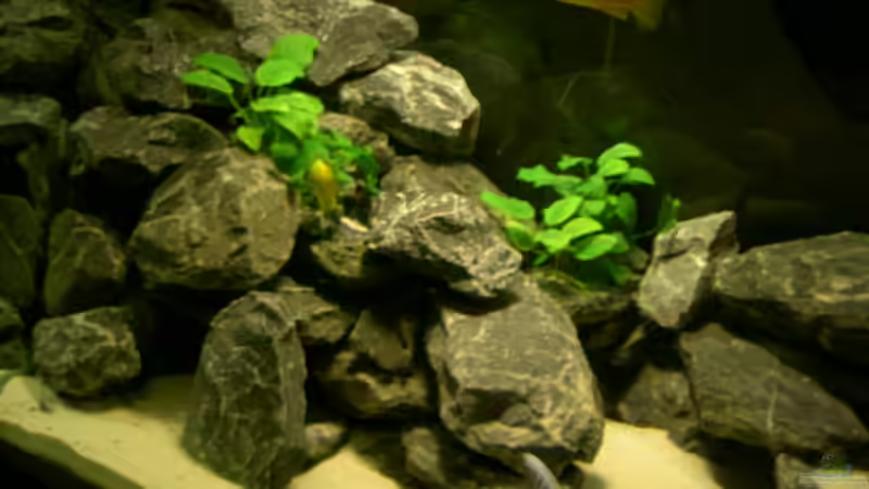 rechte Ecke (ohne Blitz ) von Florian Ober (4)