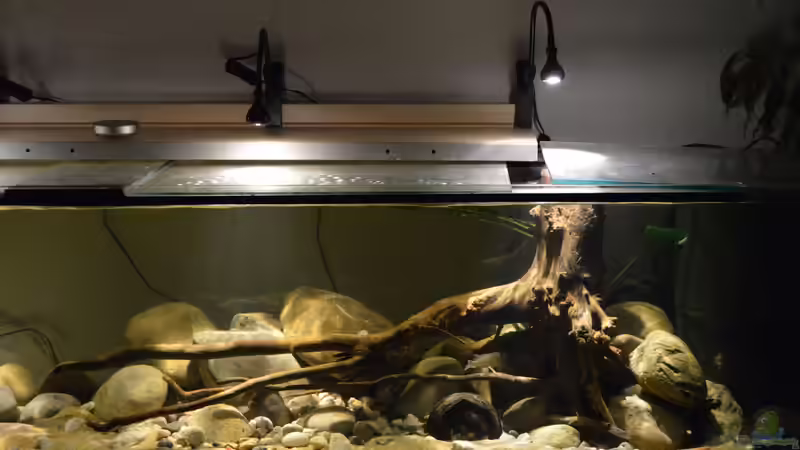 Rechte Ecke von David Breuers (11)