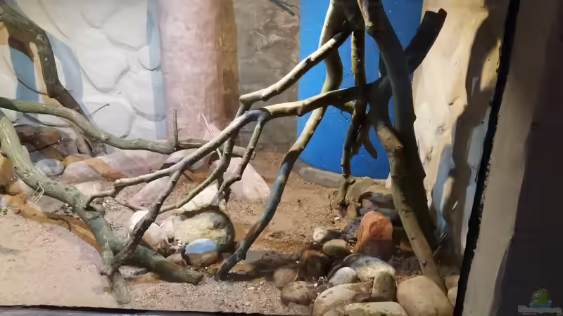 rechte Ecke von Kurt Osterhoff (35)