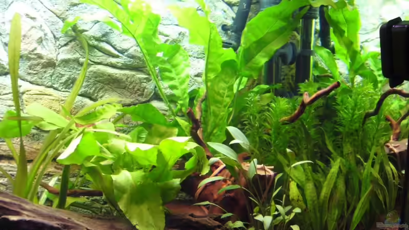 rechte Ecke von Michael Hermes (6)